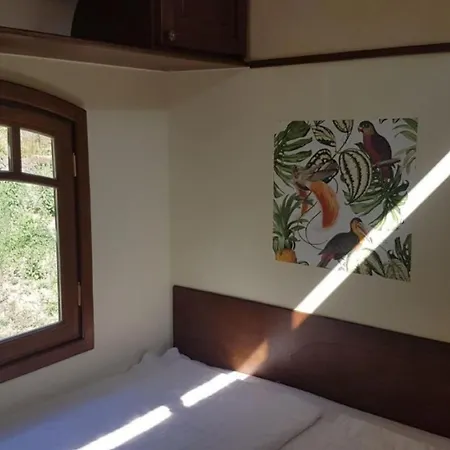 Zigappo Pullman Holiday home Lychen