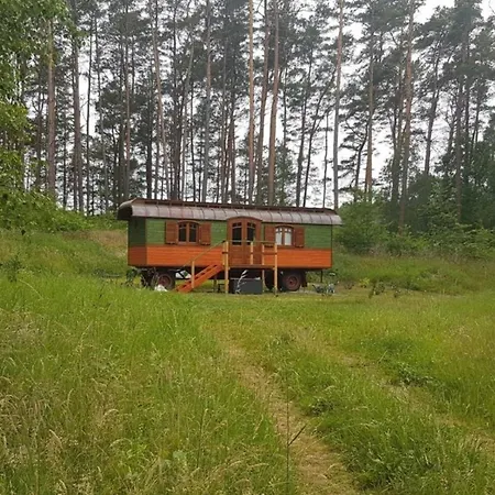 Zigappo Pullman